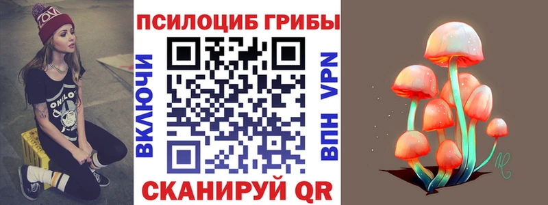 где купить наркоту  hydra   Галлюциногенные грибы Magic Shrooms  Галич 