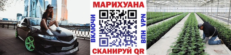 Шишки марихуана VHQ Галич